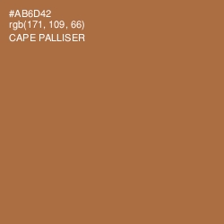 #AB6D42 - Cape Palliser Color Image